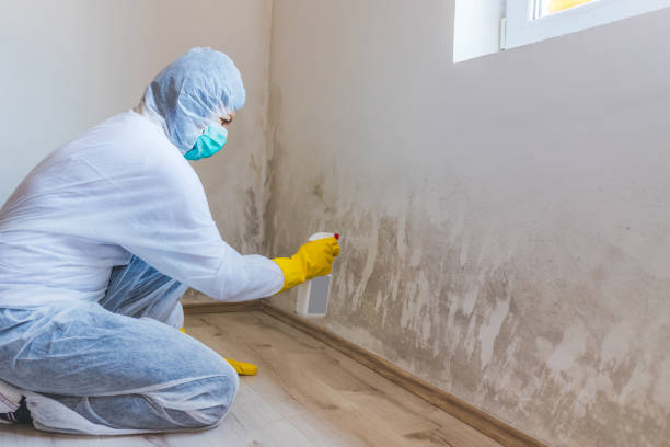 Mold inspector in Catonsville performing thermal imaging