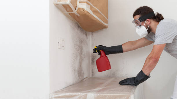 Attic Mold Remediation treatment on roof deck in Catonsville
